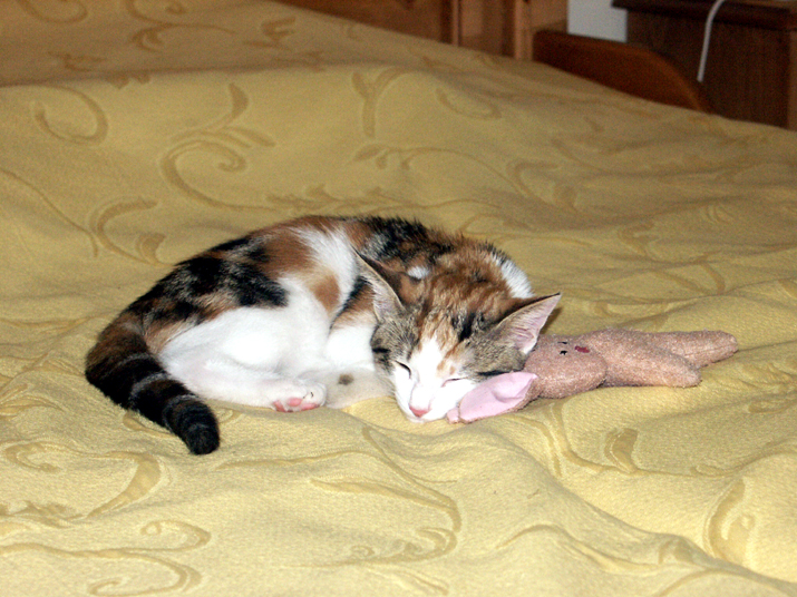 Caramel 08-04 037.jpg - DCF 1.0